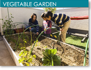 VEGETABLE GARDEN